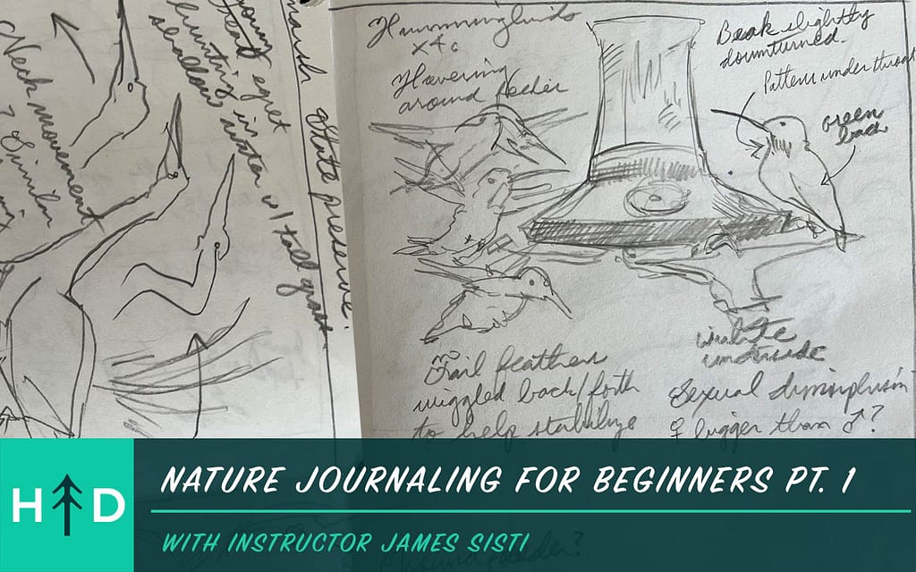 nature_journaling_course-1
