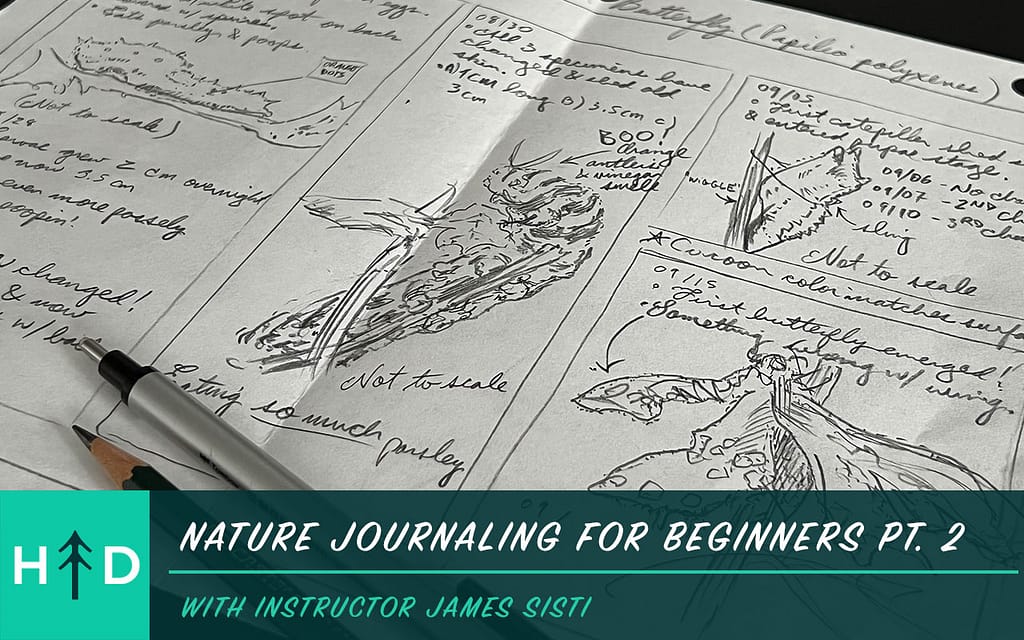 nature_journaling_course-2