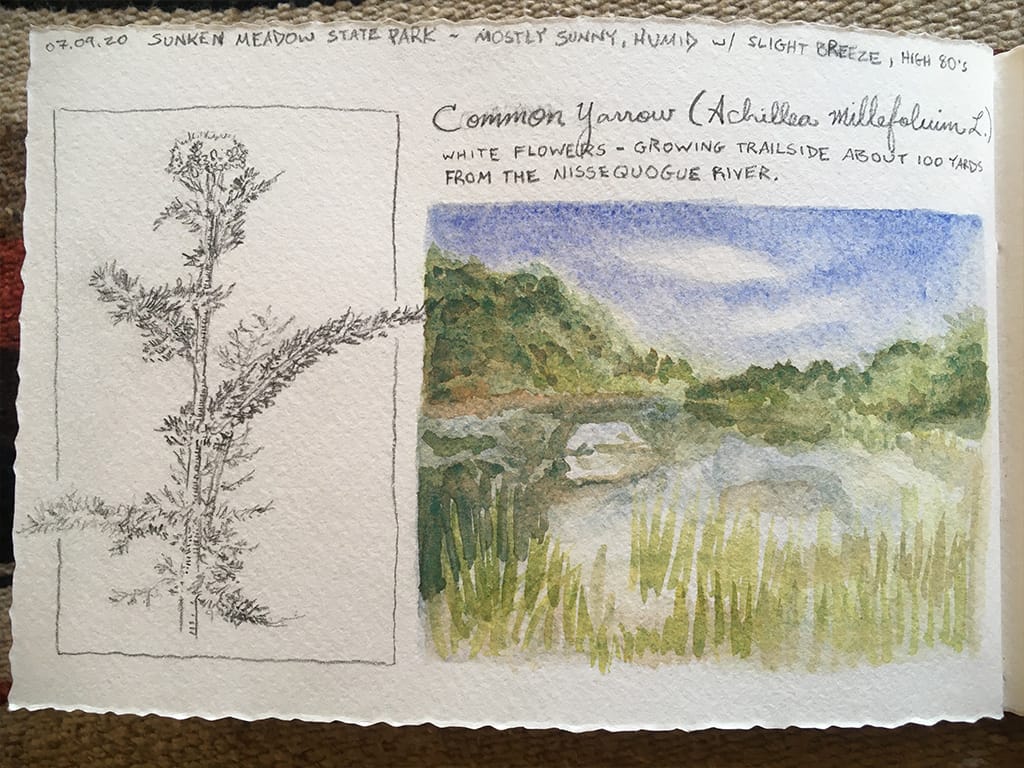 Journaling in Nature [FREE NATURE DRAWING LESSON]