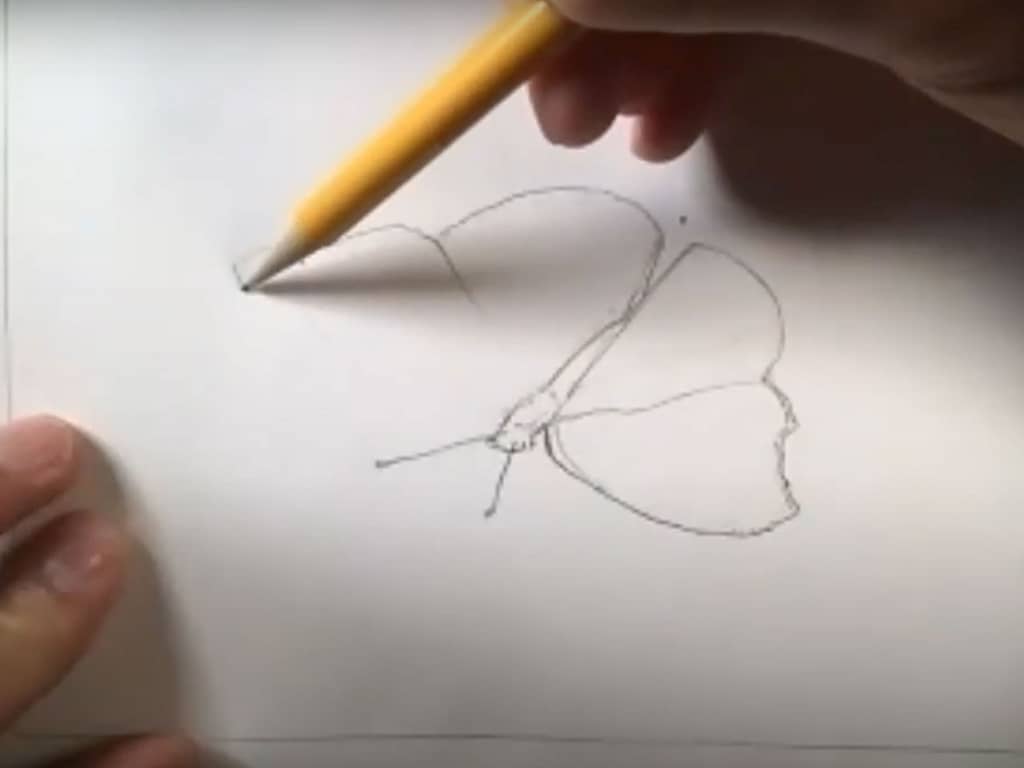 how to draw a butterfly - step 3