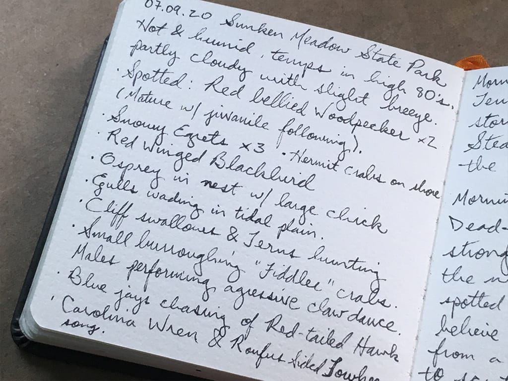 journaling in nature 4