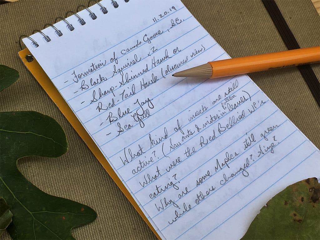 nature journaling prompts 3