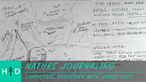 nature journaling and landscape drawing
