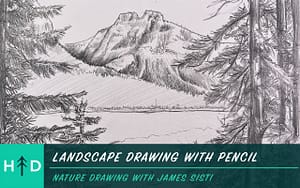 Landscape Drawing with Pencil