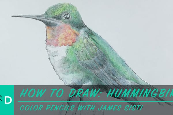 how to draw a hummingbird color pencil