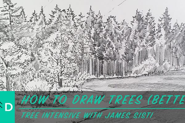 how to draw trees better