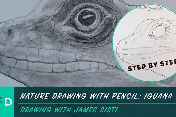 nature drawing with pencil iguana
