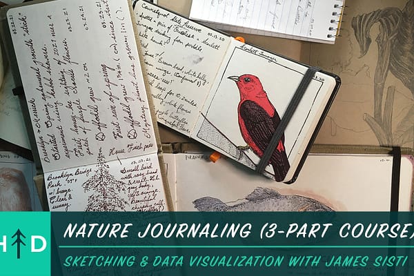 nature_journaling_course