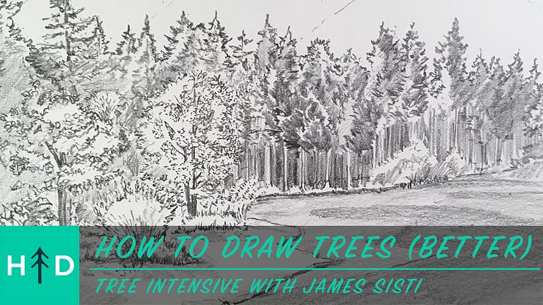 How to Draw Trees (Better)