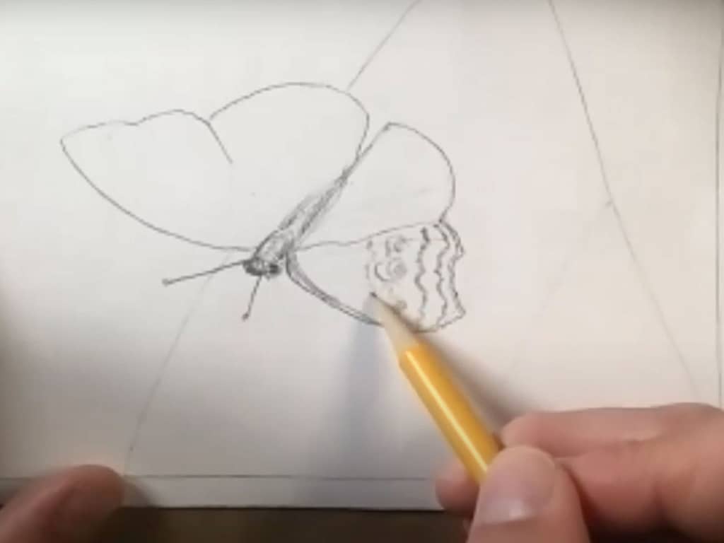 how to draw a butterfly - step 4