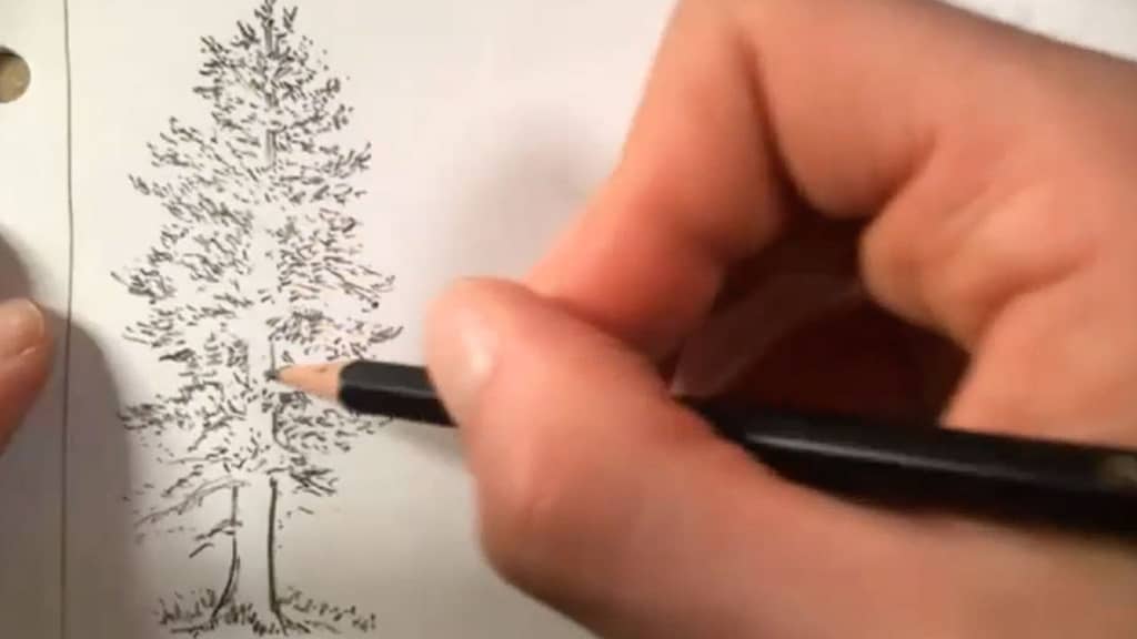 how to draw a tree - step 4