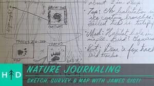 how to start a nature journal
