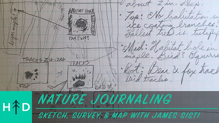 Nature Journaling: Sketch, Survey, & Map (02-01-21 )