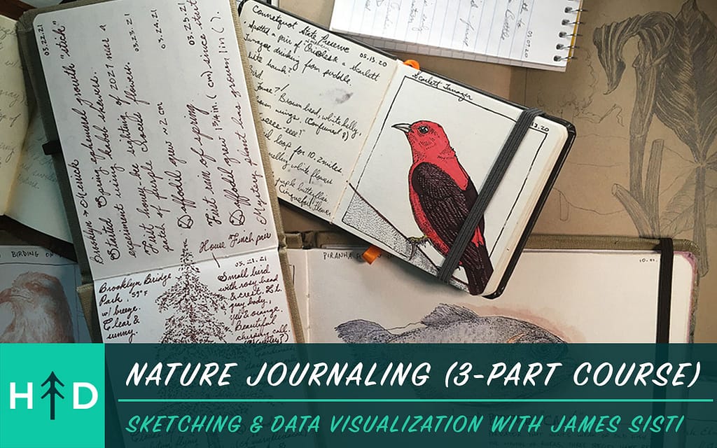 nature_journaling_course