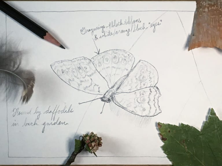 How to Draw a Butterfly [FREE TUTORIAL]