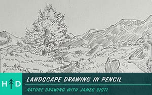 landscape drawing in pencil