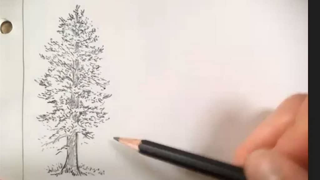 how to draw a tree - step 5