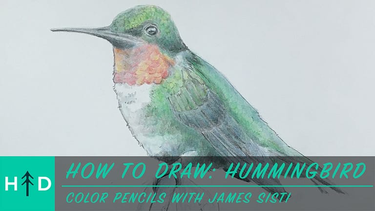 How to Draw: Ruby-Throated Hummingbird