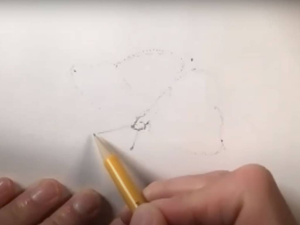 how to draw a butterfly - step 2