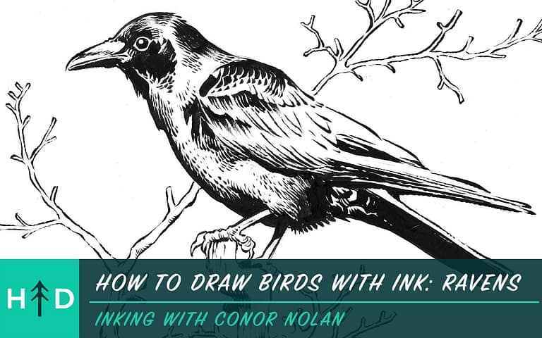 How to Draw Birds With Ink: Ravens
