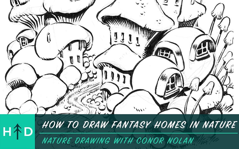 How to Draw Fantasy Homes in Nature